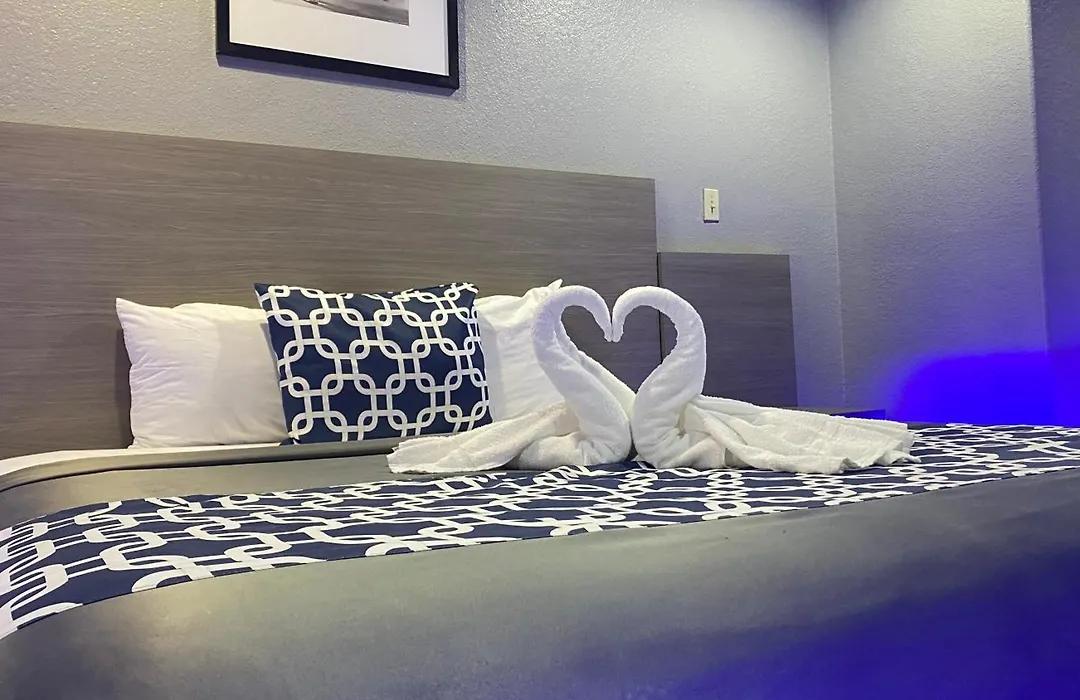 Island Suites Hobby Airport-1